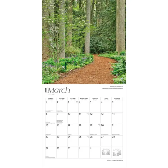 Delaware Wild & Scenic | 2026 12 x 24 Inch (Hanging) Monthly Square Wall Calendar | Plastic-Free {3}