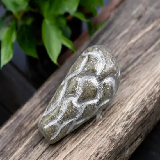 *6* 25x12mm Silver Washed Beige Terra Cotta Mermaid Scale Large Drop Beads {5}