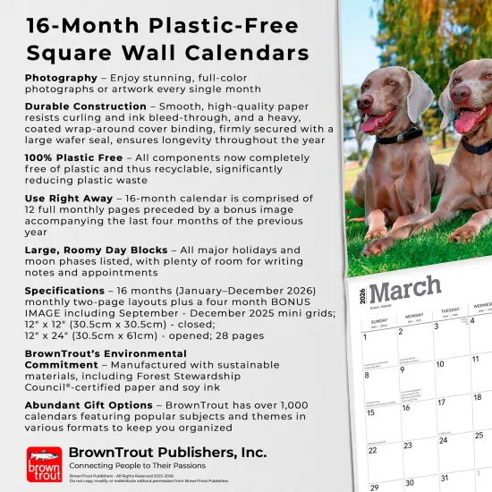 Weimaraners | 2026 12 x 24 Inch (Hanging) Monthly Square Wall Calendar | Plastic-Free {6}