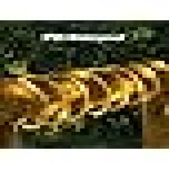 String Lights Indoor Bedroom, {6}