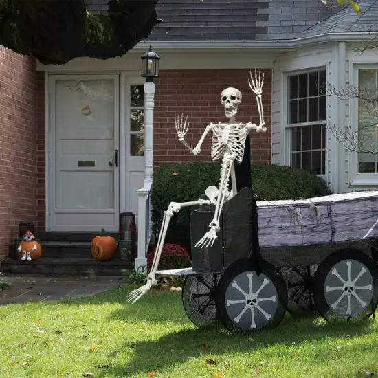 5.6ft Halloween Human Poseable Skull Skeleton {2}