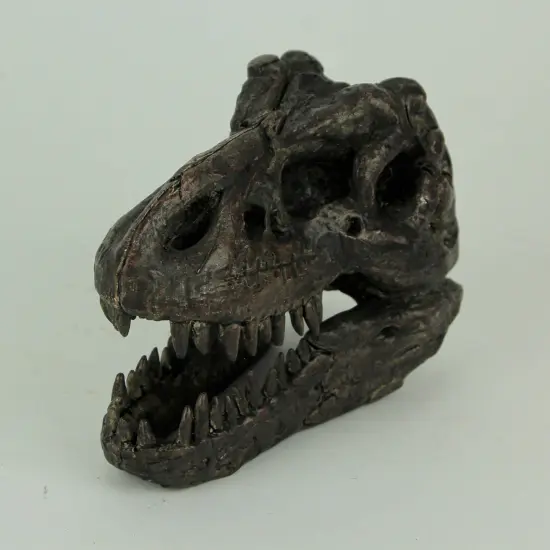 Tyrannosaurus Rex Dinosaur Head Fossil Statue Small {3}