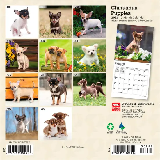 Chihuahua Puppies | 2026 7 x 14 Inch (Hanging) Monthly Mini Wall Calendar {2}