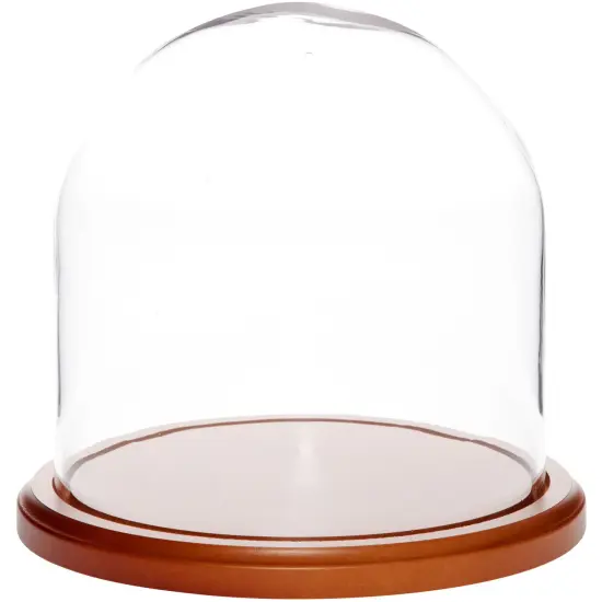 Plymor 8" x 8" Glass Display Dome Cloche Oak Veneer {2}