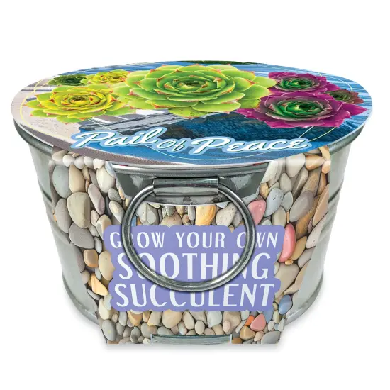 Collections Etc Grow Your Own Succulent Plant Kit with Metal Pot {2}