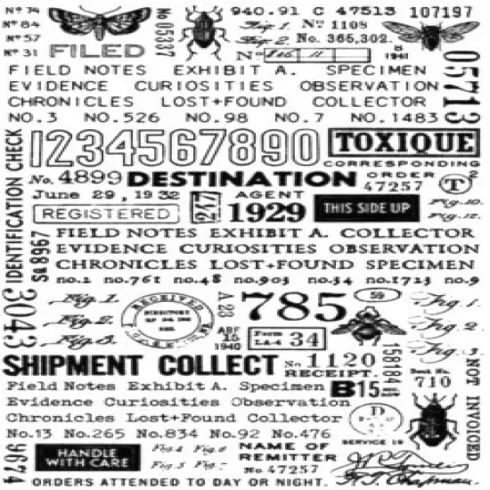 Tim Holtz Idea-Ology Specimen Remnants Rub-Ons {2}