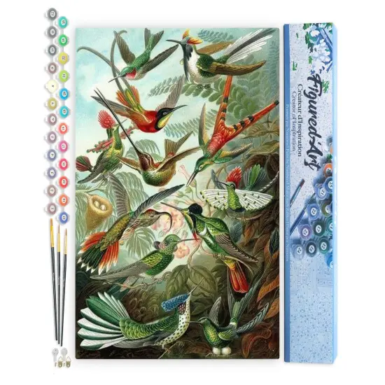 Figured'Art Paint by Numbers for Adults All the Birds 16"x20" - Craft Art Painting DIY Kit Rolled Canvas without frame {1}