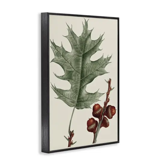 Stupell Industries Vintage Black Oak Leaf Framed Giclee Wall Art Design by Graffi*tee Studios {3}