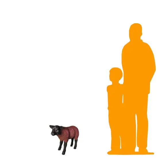 Brown Baby Texelaar Lamb Life Size Statue {2}