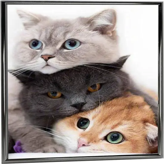 5x7 Picture Frame Metal, Thin Edge Photo Frames for Tabletop Display {2}