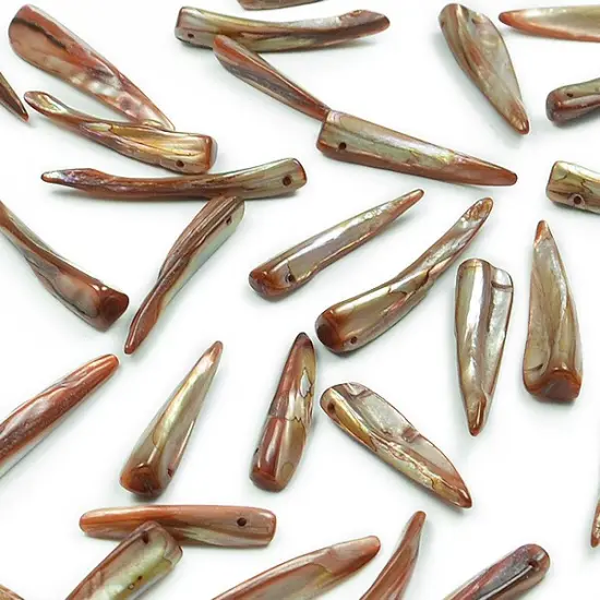 6 Packs of Tinted Shell Spike Natural 2/8" Str {1}