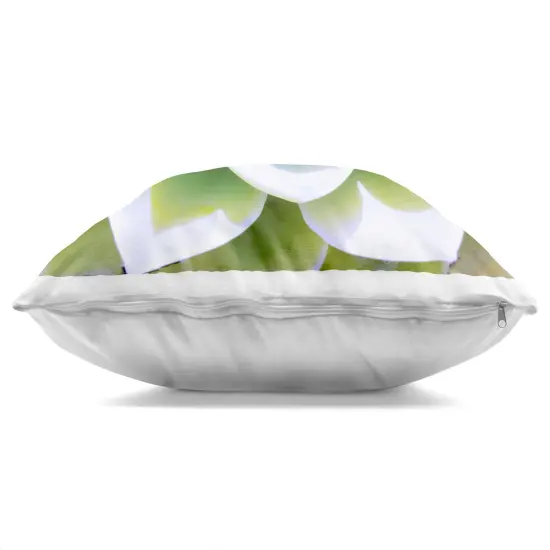 Stupell Industries Green Succulent Close Up Gardening Indoor Pillow, 18 x 7 x 18 {3}