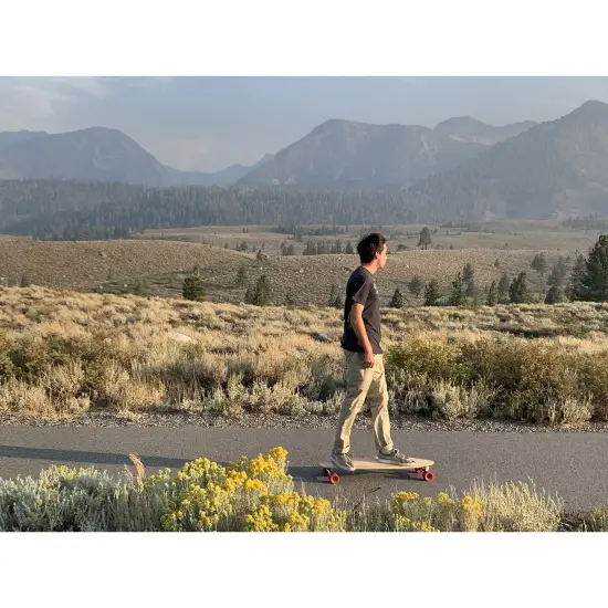 Magneto Hana Longboard Collection | 36" x 9.5" | Pintail Longboard Skateboard | Bamboo with Hard Maple Core | for Cruising, Carving, Dancing | Free Skate Tool | Short Pintail Brown {7}