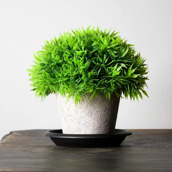 24 Pack Small Plastic Plant Saucers for Pots, 4 Inch Drip Tray for Planter, Indoor, Outdoor Flowers (Black) {3}