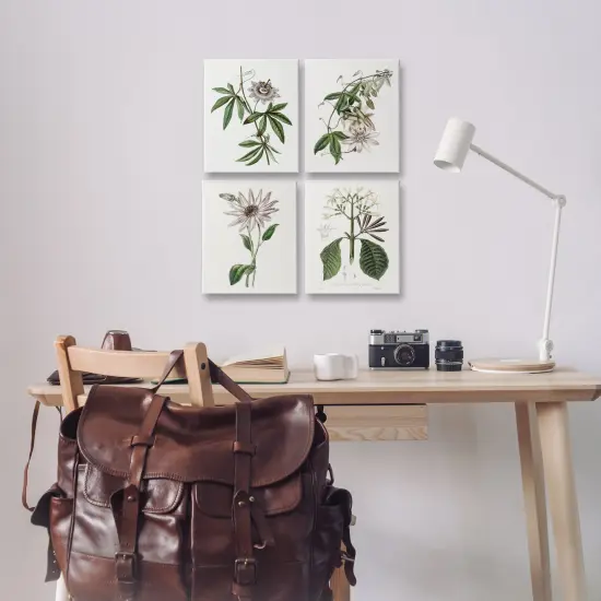 Stupell Industries Various Vintage Botanicals 4pc Canvas Set Design by CAD Design {2}