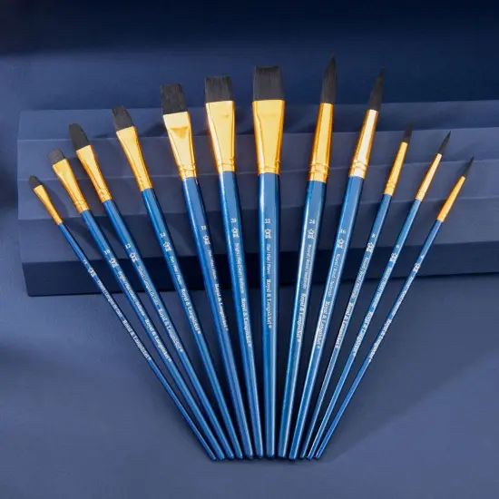 RSET-9302 | 12pc Black Taklon Long Handle Variety Brush Set {5}