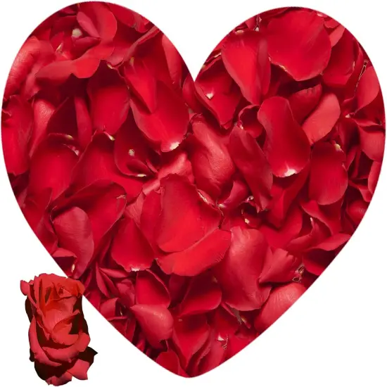 Dried Rose Petals Wedding Biodegradable Petals, Natural Preservation Real Flower Petals {2}