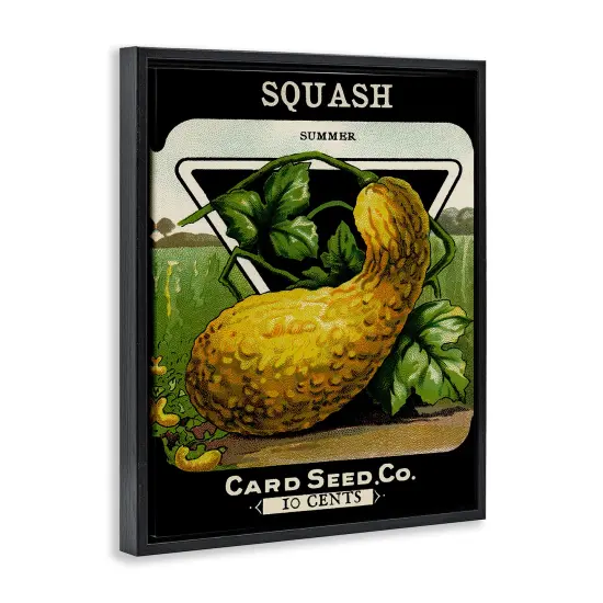 Stupell Industries Vintage Garden Squash Floating Frame Design by Lil' Rue {3}