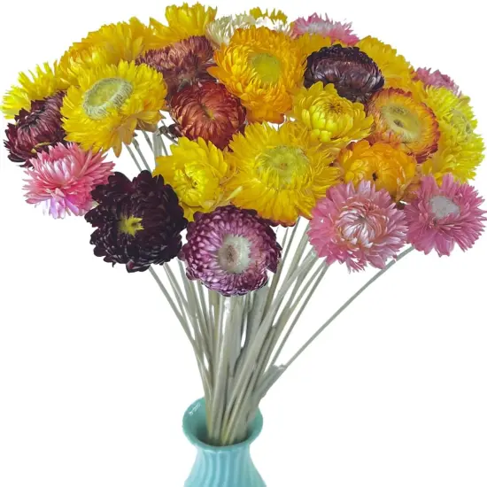 40 Pcs Natural Dried Daisy Flowers with Stems &ndash; Summer Rustic Dried Flower Bouquet for Tabletop Decor, Wedding, Home, Office, Party, DIY Floral Arrangements & Crafts {1}