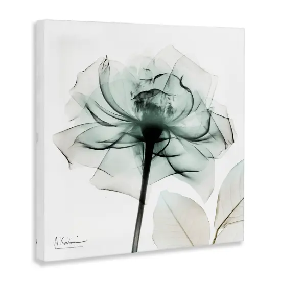 Stupell Industries Transparent Flower Blossom Canvas Design by Albert Koetsier {3}