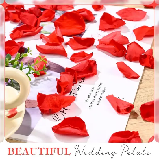 230 PCS Red Dired Rose Petals 2.1oz/60g Natural Real Rose Flower Petals for Wedding {3}