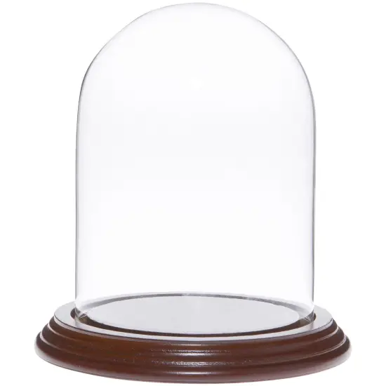Plymor 4" x 5.25" Glass Display Dome Cloche Walnut Veneer {1}