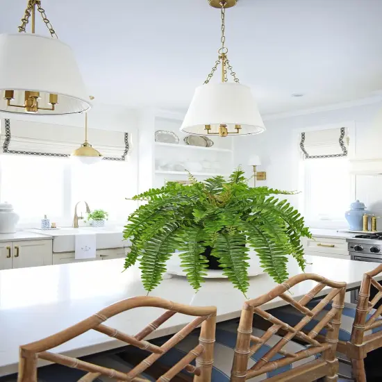 Artificial Fern Plants in Pot 25.5" Artificial Boston Fern 31 Leaves for Outdoors & Indoor Faux Potted Plant Fake Ferns Bush Plant for Patio Garden Farmhouse Porch Home Decor Green {4}