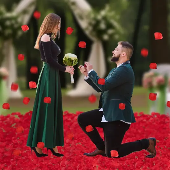 3000 PCS Dark Red Artificial Silk Rose Petals for Romantic Night, Wedding, Party, Anniversary Flower Decorations {4}