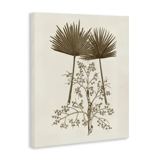 Stupell Industries Palm Leaf & Olive Branches Canvas Design by Phillipa Katz {3}
