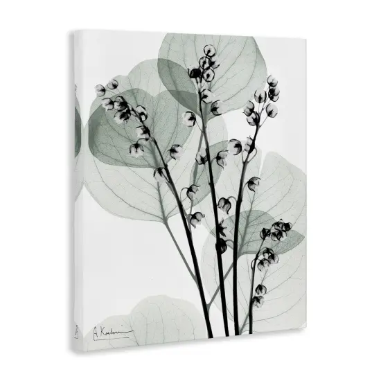 Stupell Industries Fresh Minimalist Herbs Canvas Design by Albert Koetsier {3}
