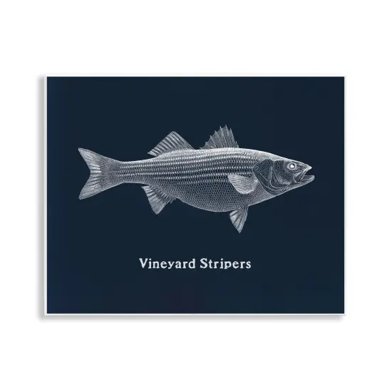 Stupell Industries Vineyard Stripers Fish Wall Plaque Design by Phillipa Katz {1}