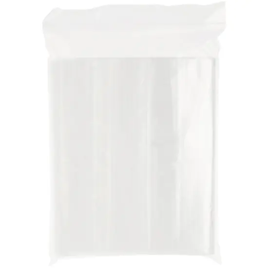 Plymor 8" x 10", 2 Mil with Hang-Hole Zipper Reclosable Plastic Bags {4}