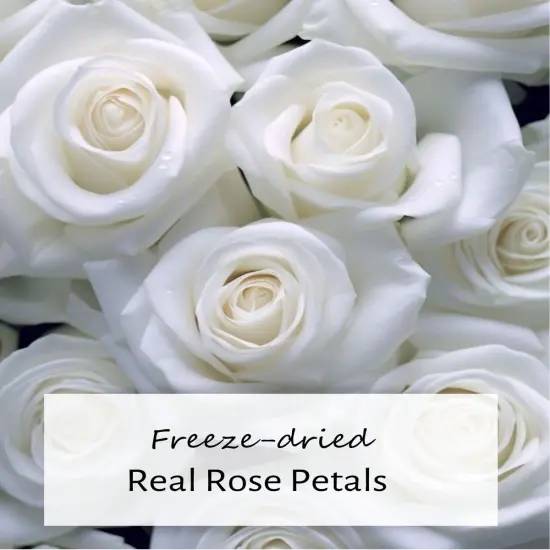 REAL Rose Petals, Pearl White Freeze-Dried Petals Biodegradabel Wedding Natural Confetti, Perfectly Preserved Flower Petals {2}