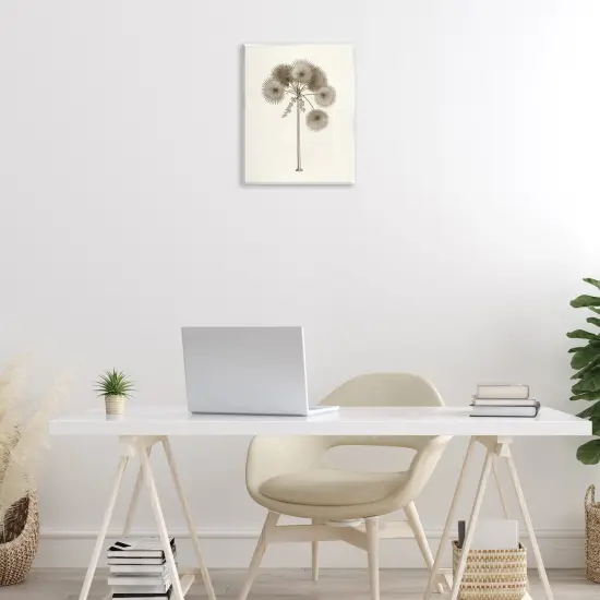 Stupell Industries Vintage Study of Palm Tree Wall Plaque Design by Phillipa Katz {2}