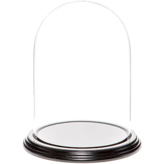 Plymor 5.5" x 8" Glass Display Dome Cloche Black Wood Veneer {1}