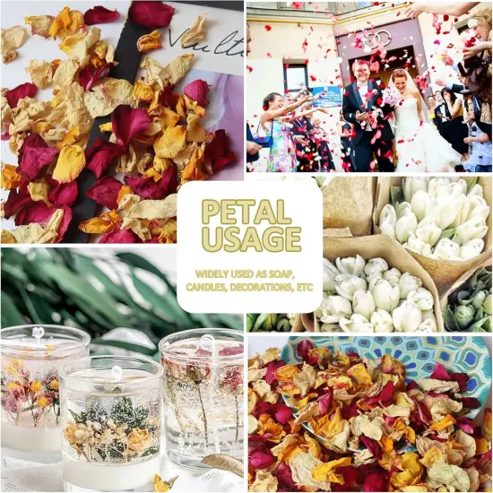 Dried Rose Flower Petals Biodegradable Confetti, 30 Cups Mix Real Natural White Pink Yellow Rose Petals for Wedding Proposal Party Valentine's Day Decor Flower Girls {4}
