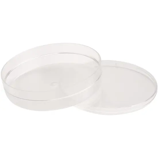 Pioneer Plastics 173C Clear Round Plastic Container with Frosted Bottom, 6" W x 1.375" H {6}