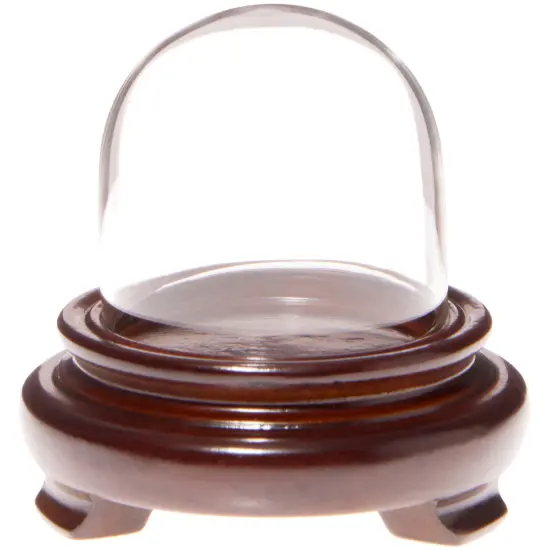 Plymor 1.875" x 1.875" Mini Glass Display Dome Cloche Walnut Wood Veneer {1}