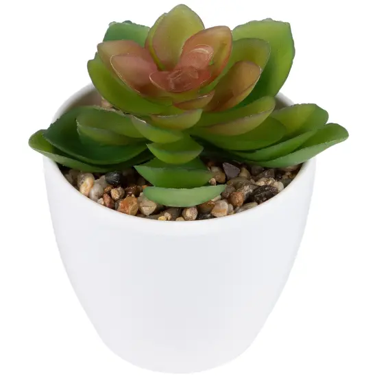 Northlight Mini White Potted Artificial Succulent Plant - 4" {6}