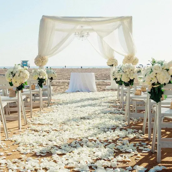 Decor 5000 Pcs Rose Petals Artificial Flower for Valentine's Wedding Decor Romantic Night Event Anniversary Shower Engagement Party Home Decorations {3}