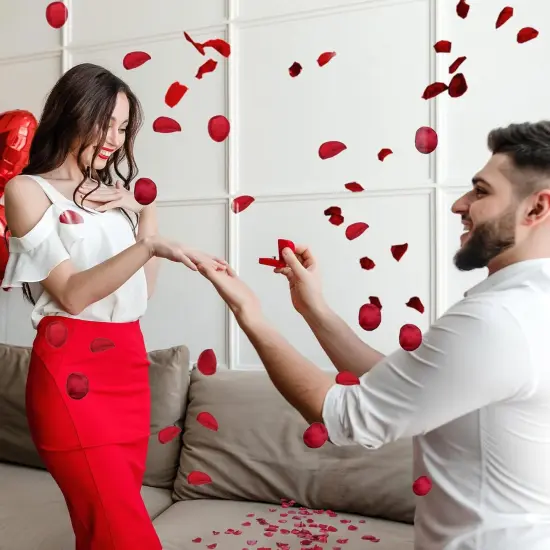 200pcs Rose Petals Decorations, Flower Girl Petals,Rose Petals for Wedding,Silk Rose Petals,Red Flower Petals {2}