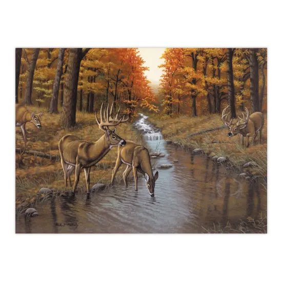 PAL23 | Painting by numbers™ 13pc 11.25" x 13.375" Symond's Creek Painting Project {2}