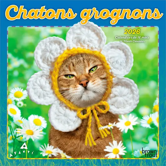 Avanti Chatons Grognons OFFICIEL | 2026 7 x 14 Inch (Hanging) Monthly Mini Wall Calendar | French Language | BrownTrout | Angry Cat Humor {1}