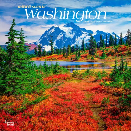 Washington Wild & Scenic | 2026 12 x 24 Inch (Hanging) Monthly Square Wall Calendar | Plastic-Free {1}