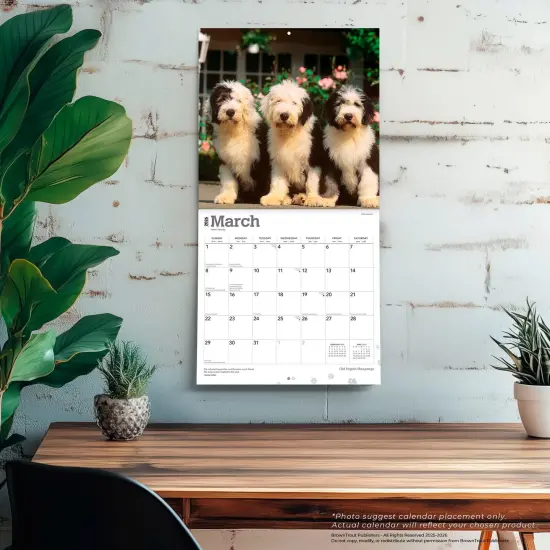 Old English Sheepdogs | 2026 12 x 24 Inch (Hanging) Monthly Square Wall Calendar | Plastic-Free {5}