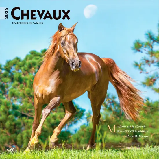 Chevaux | 2026 12 x 24 Inch (Hanging) Monthly Square Wall Calendar | French Language {1}