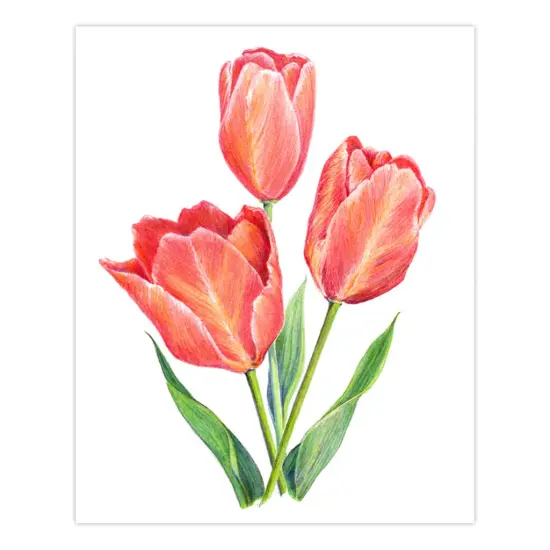 AVS-DME203 | Drawing Made Easy&trade; 26pc 8" x 10" Flowers 4 Project Box Set {4}