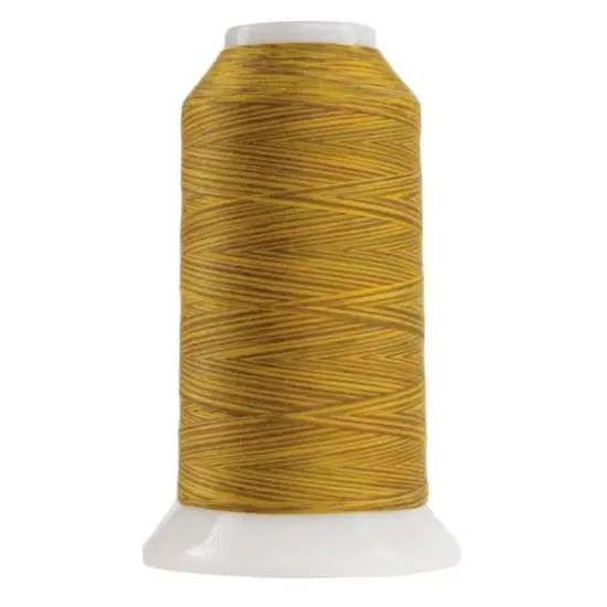 9130 Leo The Lion Omni Variegated Polyester Thread {1}