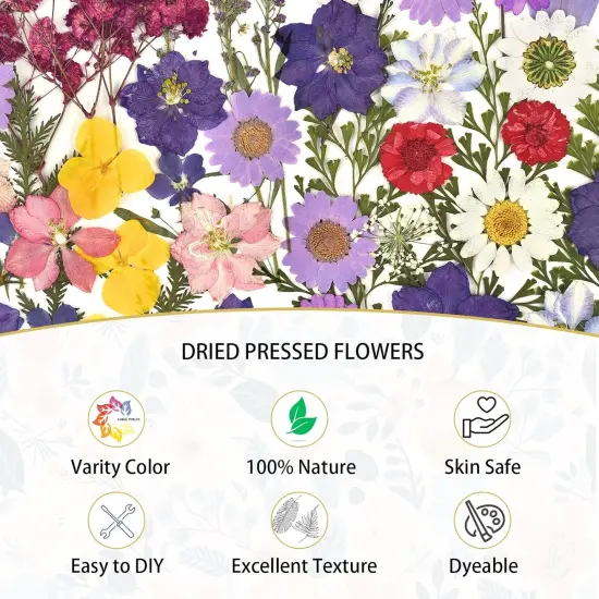 100Pcs Purple Dried Pressed Flowers for Resin Molds {4}