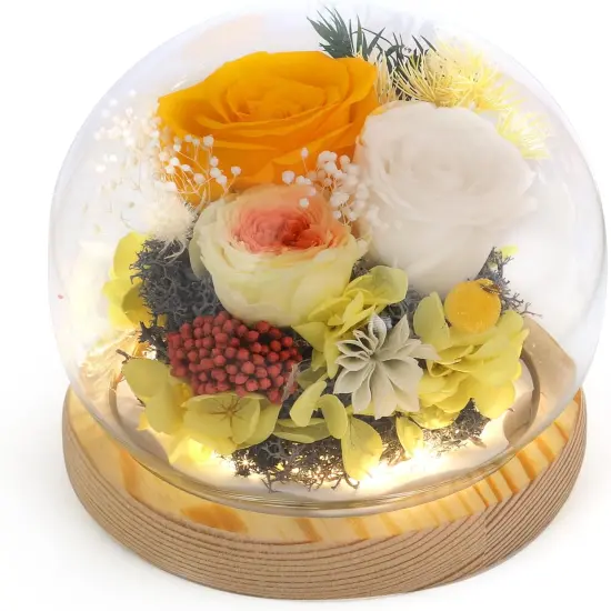 Eternal Preserved Roses with LED Light {1}